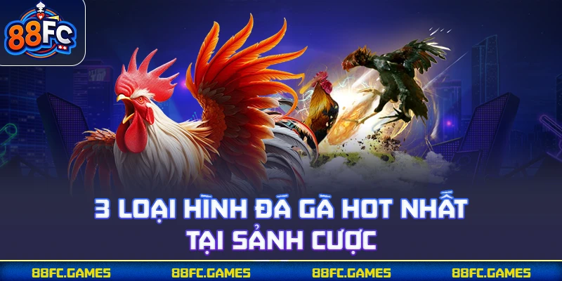 3 loại hình đá gà hot nhất tại sảnh cược