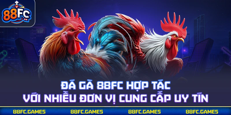 Đá gà 88FC hợp tác với nhiều đơn vị cung cấp uy tín